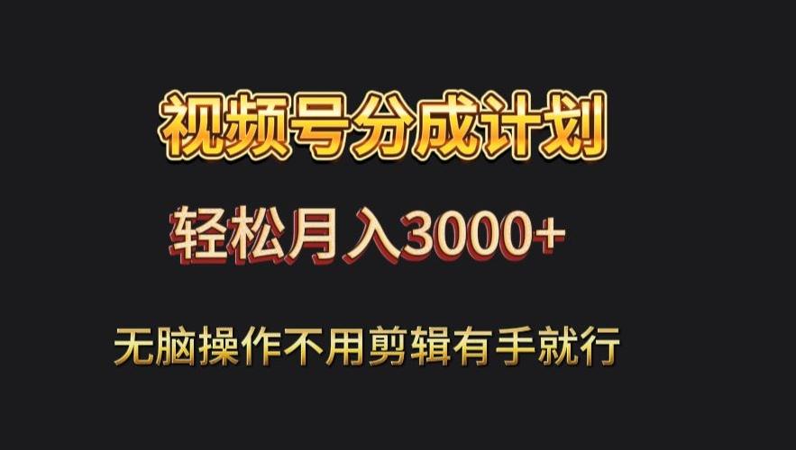 视频号流量分成，不用剪辑，有手就行，轻松月入2000+-网创资源