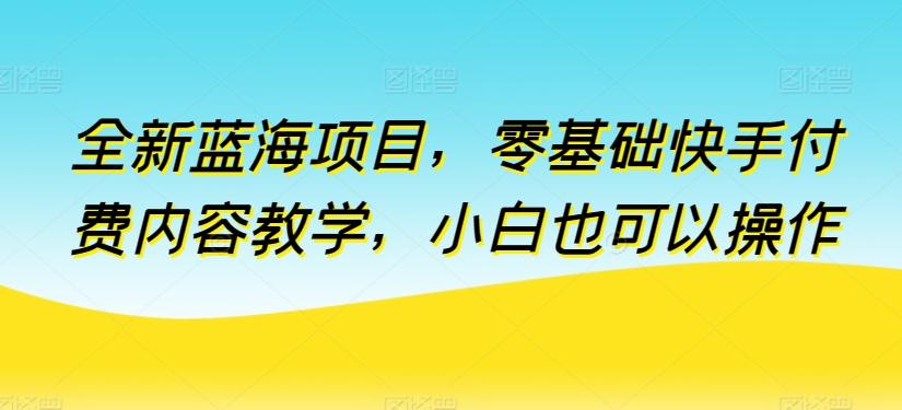全新蓝海项目，零基础快手付费内容教学，小白也可以操作【揭秘】-网创资源