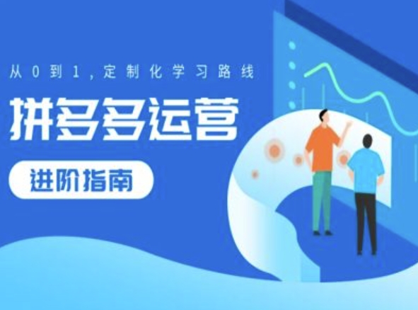 拼多多运营进阶指南，从0到1定制化学习路线-网创资源