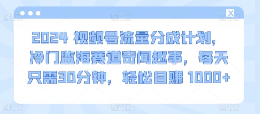 2024视频号流量分成计划，冷门监海赛道奇闻趣事，每天只需30分钟，轻松目赚 1000+【揭秘】-网创资源