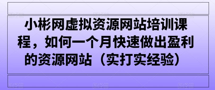 小彬网虚拟资源网站培训课程，如何一个月快速做出盈利的资源网站(实打实经验)-网创资源