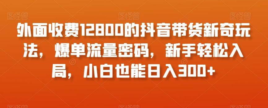 外面收费12800的抖音带货新奇玩法，爆单流量密码，新手轻松入局，小白也能日入300+【揭秘】-网创资源