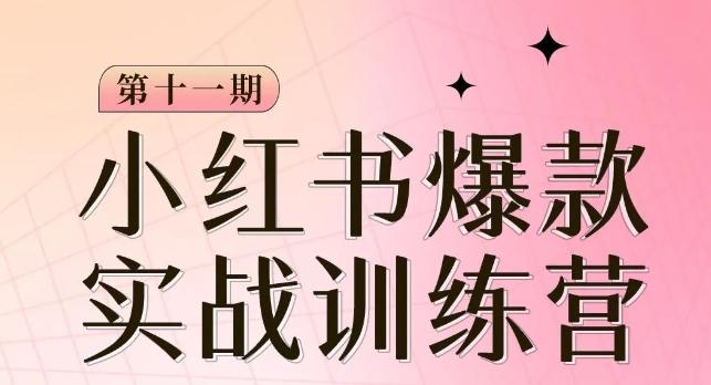 小红书博主爆款训练营第11期，手把手教你从0-1做小红书，从定位到起号到变现-网创资源