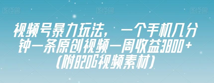 视频号暴力玩法，一个手机几分钟一条原创视频一周收益3800+（附820G视频素材）-网创资源