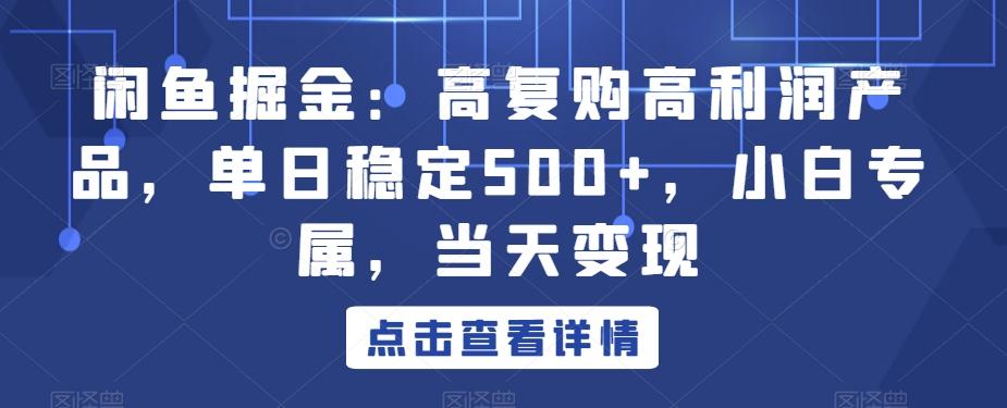 闲鱼掘金：高复购高利润产品，单日稳定500+，小白专属，当天变现-网创资源