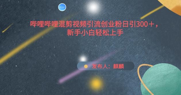 哔哩哔哩混剪视频引流创业粉日引300+，新手小白轻松上手【揭秘】-网创资源