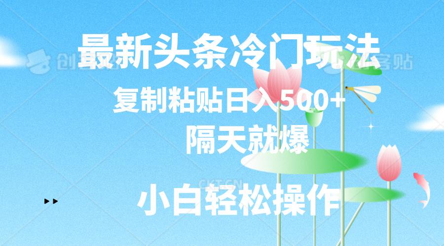 最新头条冷门玩法，隔天就爆，复制粘贴日入500+-网创资源