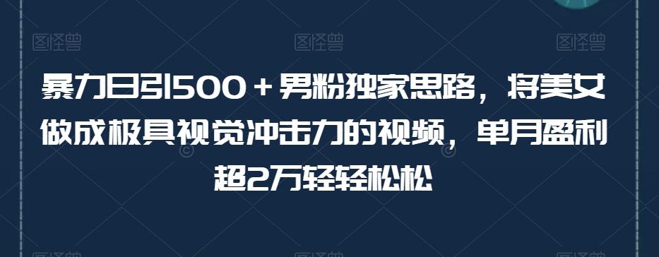 暴力日引500＋男粉独家思路，将美女做成极具视觉冲击力的视频，单月盈利超2万轻轻松松-网创资源