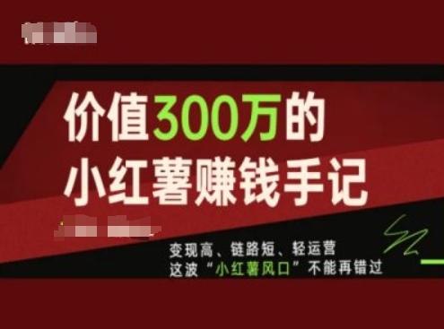 价值300万的小红书赚钱手记，变现高、链路短、轻运营，这波“小红薯风口”不能再错过-网创资源