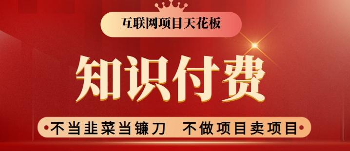 2024互联网项目天花板，新手小白也可以通过知识付费月入10W，实现财富自由【揭秘】-网创资源