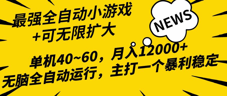 (10046期)2024最新全网独家小游戏全自动，单机40~60,稳定躺赚，小白都能月入过万-网创资源
