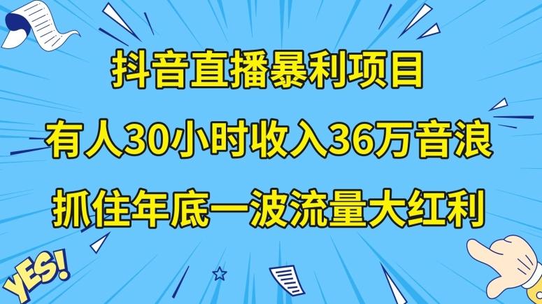 抖音直播暴利项目，有人30小时收入36万音浪，公司宣传片年会视频制作，抓住年底一波流量大红利【揭秘】-网创资源