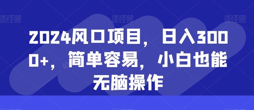 2024风口项目，日入3000+，简单容易，小白也能无脑操作-网创资源