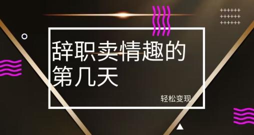 冷门赛道，辞职卖情趣的第几天，超暴力项目-网创资源