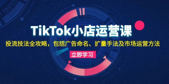 TikTok小店运营课：投流技法全攻略，包括广告命名 扩量手法及市场运营方法-网创资源