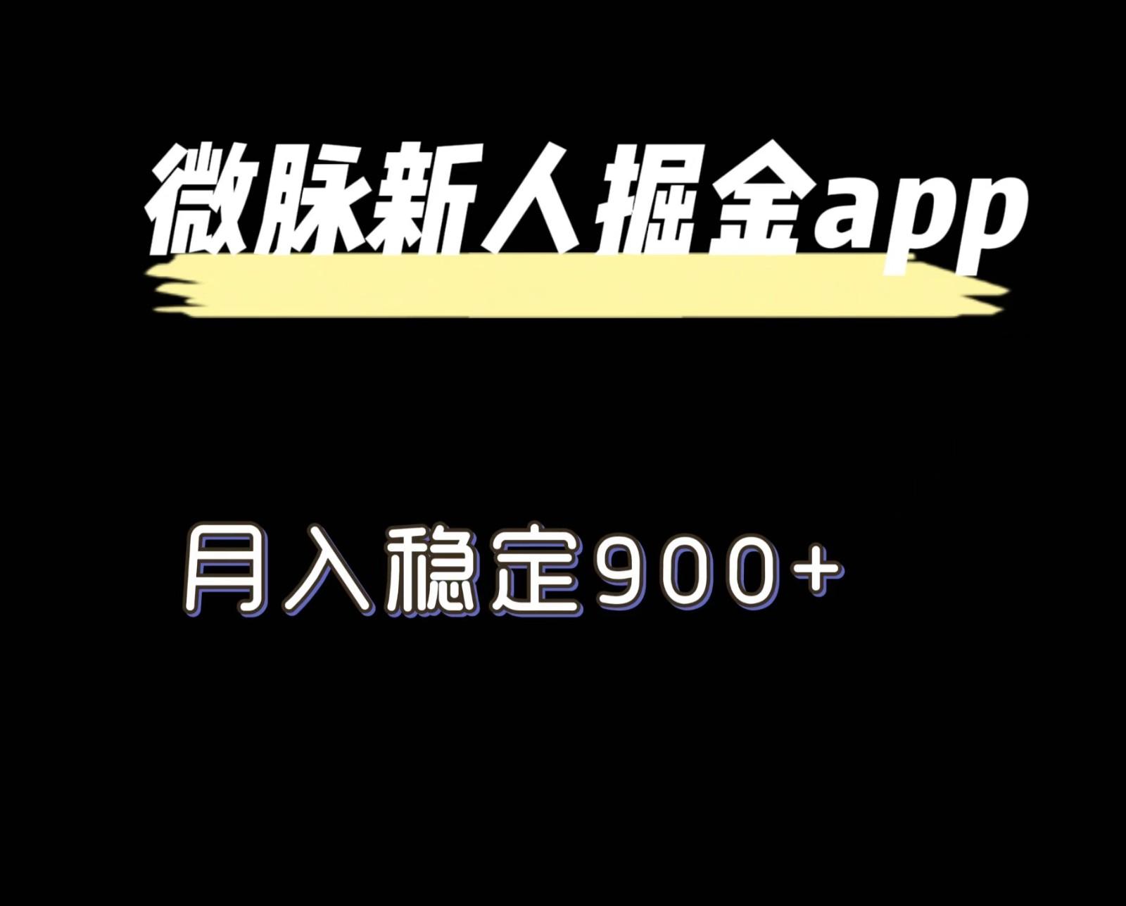 最新微脉长久项目，拉新掘金，月入稳定900+-网创资源