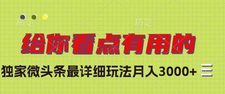 独家微头条最详细玩法，月入3000+【揭秘】-网创资源