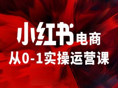 小红书电商从0-1实操运营课，让你从小白到精英-网创资源