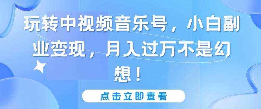 玩转中视频音乐号，小白副业变现，月入过万不是幻想【揭秘】-网创资源