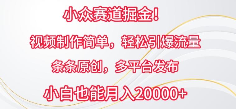 小众赛道掘金，视频制作简单，轻松引爆流量，条条原创，多平台发布【揭秘】-网创资源