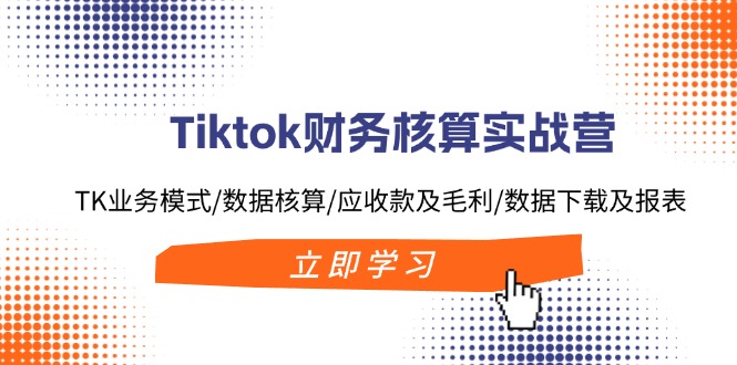 Tiktok财务核算实战营：TK业务模式/数据核算/应收款及毛利/数据下载及报表-网创资源