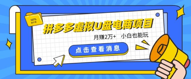 拼多多虚拟U盘电商红利项目：月赚2万+，新手小白也能玩-网创资源