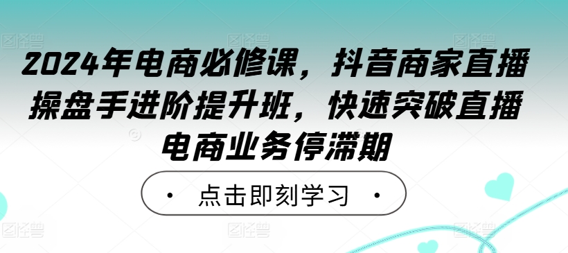 2024年电商必修课，抖音商家直播操盘手进阶提升班，快速突破直播电商业务停滞期-网创资源