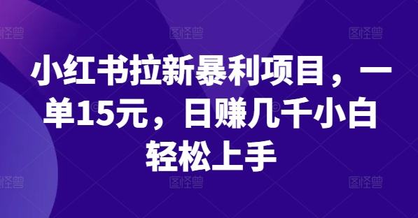 小红书拉新暴利项目，一单15元，日赚几千小白轻松上手【揭秘】-网创资源