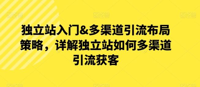 独立站入门&多渠道引流布局策略，详解独立站如何多渠道引流获客-网创资源