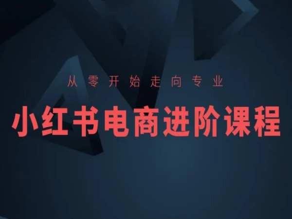 从零开始走向专业，小红书电商进阶课程-网创资源