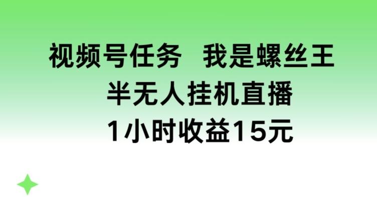 视频号任务，我是螺丝王， 半无人挂机1小时收益15元【揭秘】-网创资源