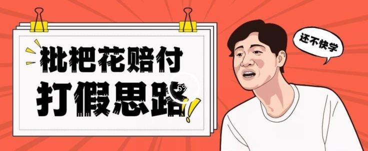 最新打假原料枇杷花赔付玩法一单收益1000+小白轻松下车【详细视频玩法教程】【仅揭秘】-网创资源