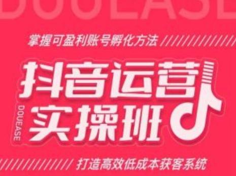 抖音运营实操班，掌握可盈利账号孵化方法，打造高效低成本获客系统-网创资源