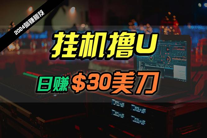 (10013期)日赚30美刀，2024最新海外挂机撸U内部项目，全程无人值守，可批量放大-网创资源