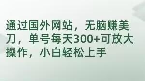 通过国外网站，无脑赚美刀，单号每天300+可放大操作，小白轻松上手【揭秘】-网创资源