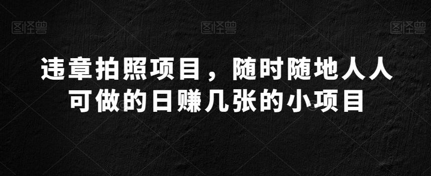 违章拍照项目，随时随地人人可做的日赚几张的小项目-网创资源