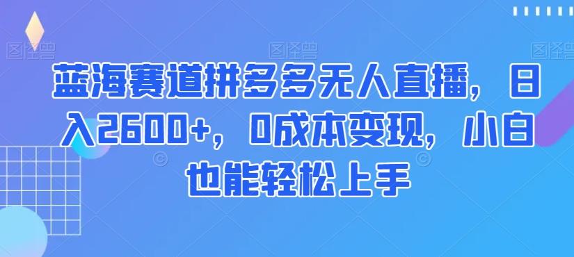 蓝海赛道拼多多无人直播，日入2600+，0成本变现，小白也能轻松上手【揭秘】-网创资源