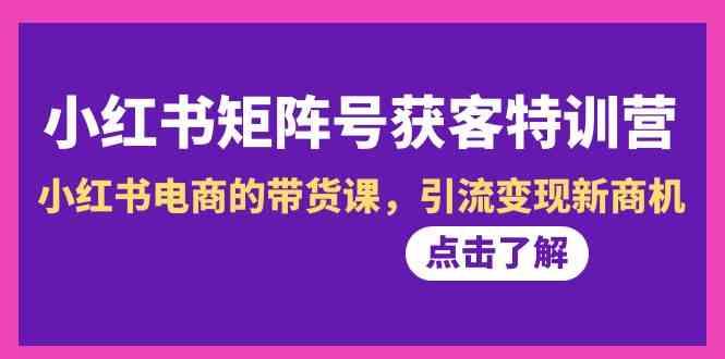小红书矩阵号获客特训营-第10期，小红书电商的带货课，引流变现新商机-网创资源