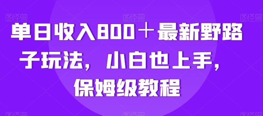 单日收入800＋最新野路子玩法，小白也上手，保姆级教程-网创资源