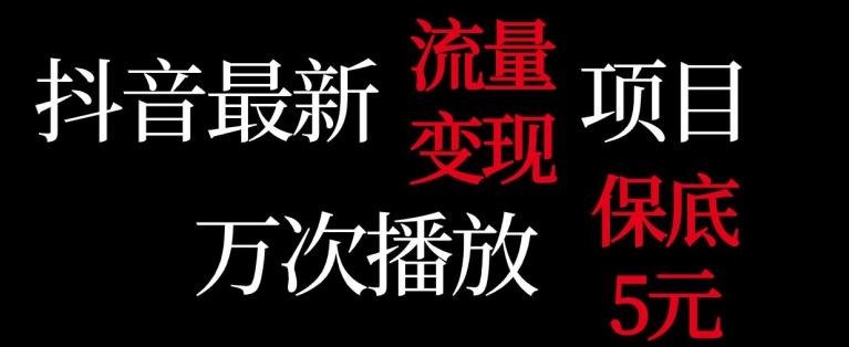 抖音流量变现，万次播放保底5元，额外收入-网创资源