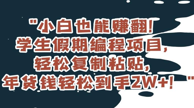 小白也能赚翻！学生假期编程项目，轻松复制粘贴，年货钱轻松到手2W+【揭秘】-网创资源