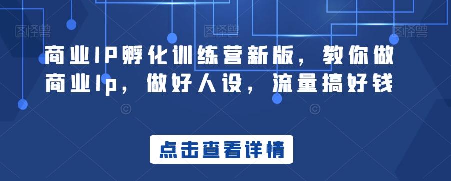 商业IP孵化训练营新版，教你做商业Ip，做好人设，流量搞好钱-网创资源