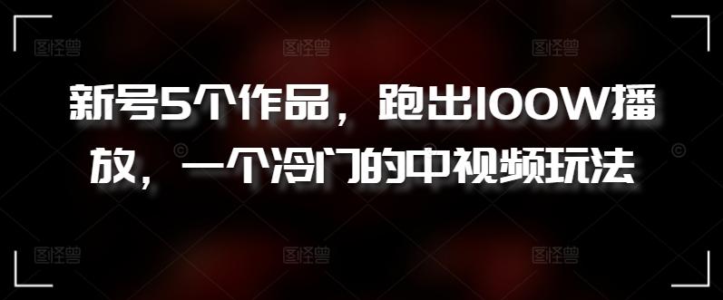 新号5个作品，跑出100W播放，一个冷门的中视频玩法【揭秘】-网创资源