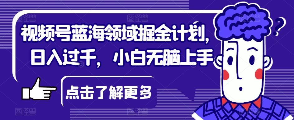视频号蓝海领域掘金计划，日入过千，小白无脑上手【揭秘】-网创资源