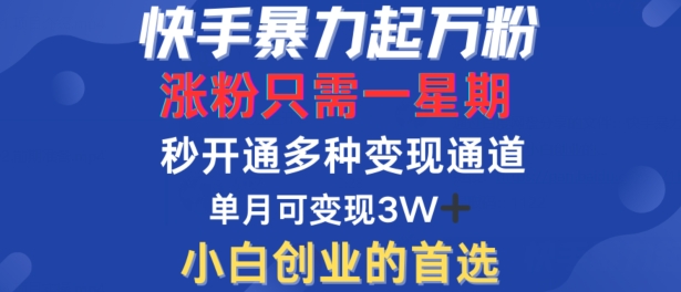 快手暴力起万粉，涨粉只需一星期，多种变现模式，直接秒开万合，单月变现过W【揭秘】-网创资源