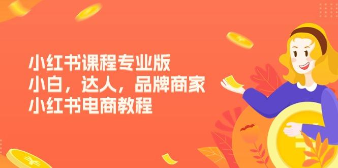 小红书课程专业版，小白，达人，品牌商家，小红书电商教程(15节-网创资源