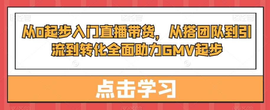 从0起步入门直播带货，​从搭团队到引流到转化全面助力GMV起步-网创资源