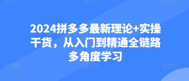 2024拼多多最新理论+实操干货，从入门到精通全链路多角度学习-网创资源