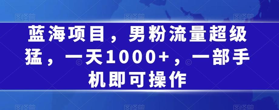 蓝海项目，男粉流量超级猛，一天1000+，一部手机即可操作【揭秘】-网创资源