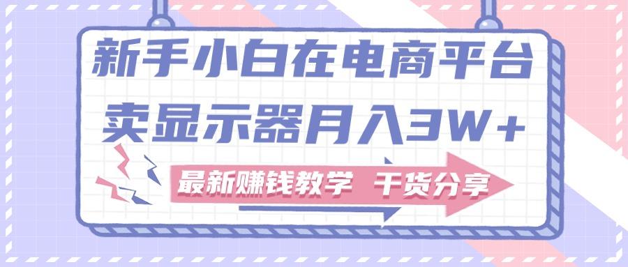 新手小白如何做到在电商平台卖显示器月入3W+，最新赚钱教学干货分享-网创资源